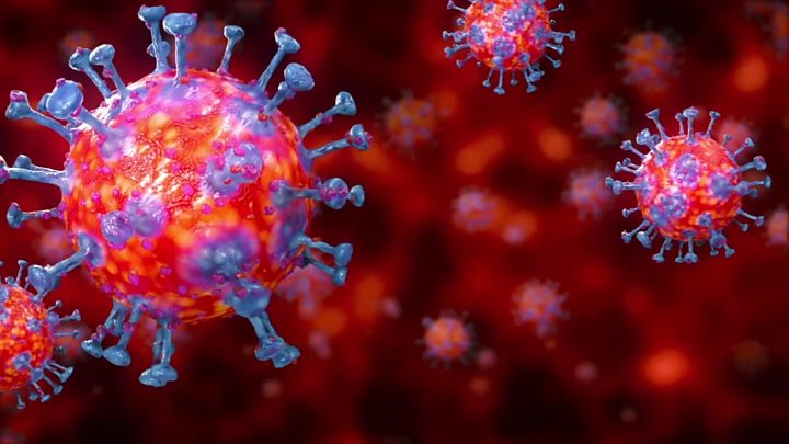 Coronavirus Update – November 2020